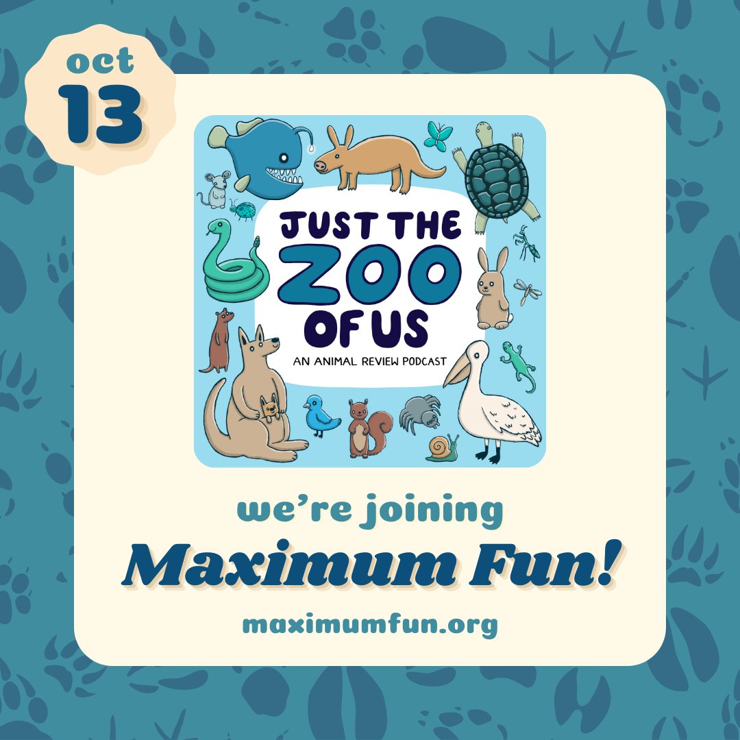 JusttheZooofUs's tweet image. 📢We have some big exciting news to share! We're joining the Maximum Fun network! 🚀 Our first official MaxFun episode will be up next Wednesday, October 13th. In the meantime, here's a little more about what that means. (1/4)