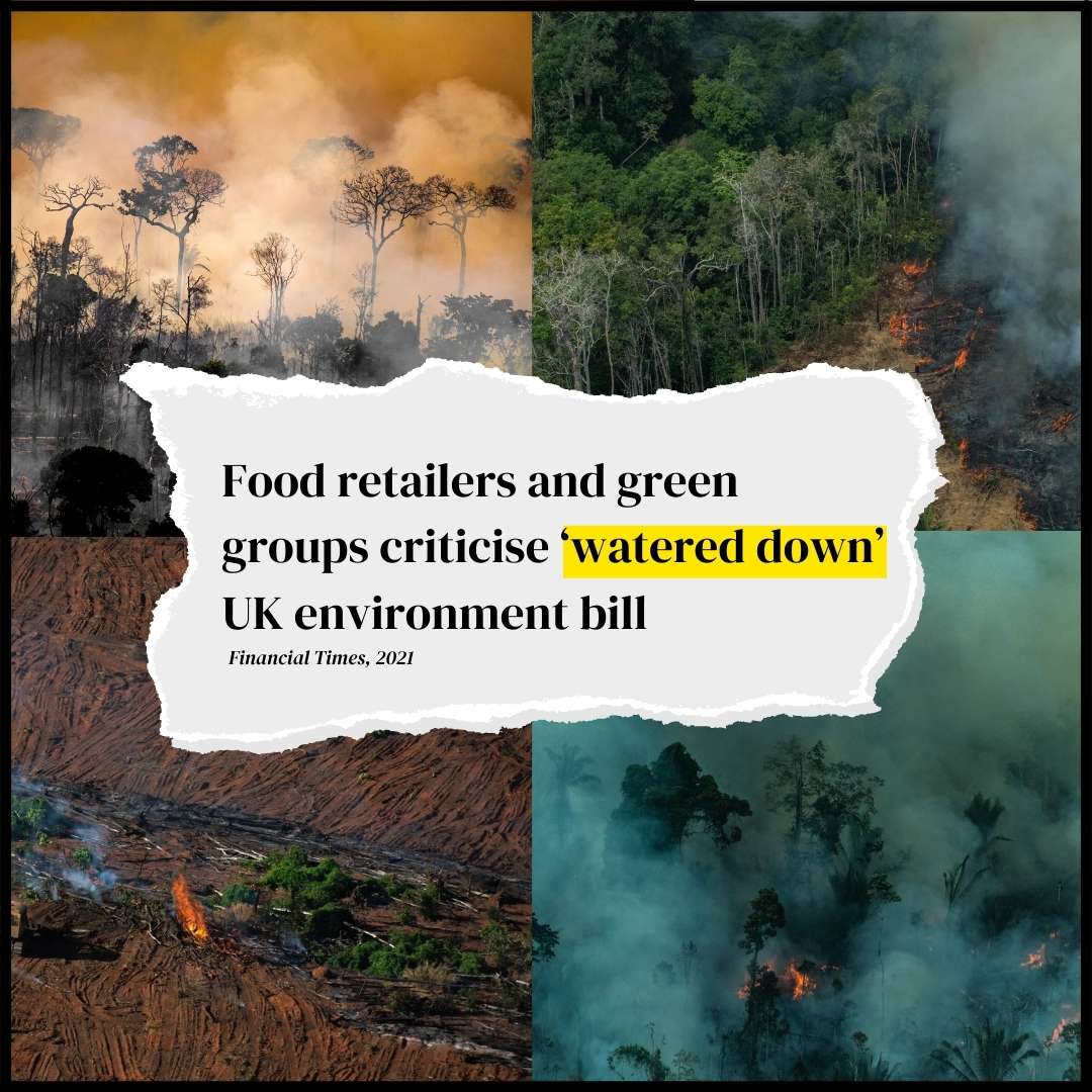 On Oct 20th, the House of Commons will begin to review a final round of amendments to the #EnvironmentBill. This is a critical time to push the govt to tighten the legislation and prevent products linked to deforestation from entering the UK.

Learn more👉 act.gp/3FsqdjL