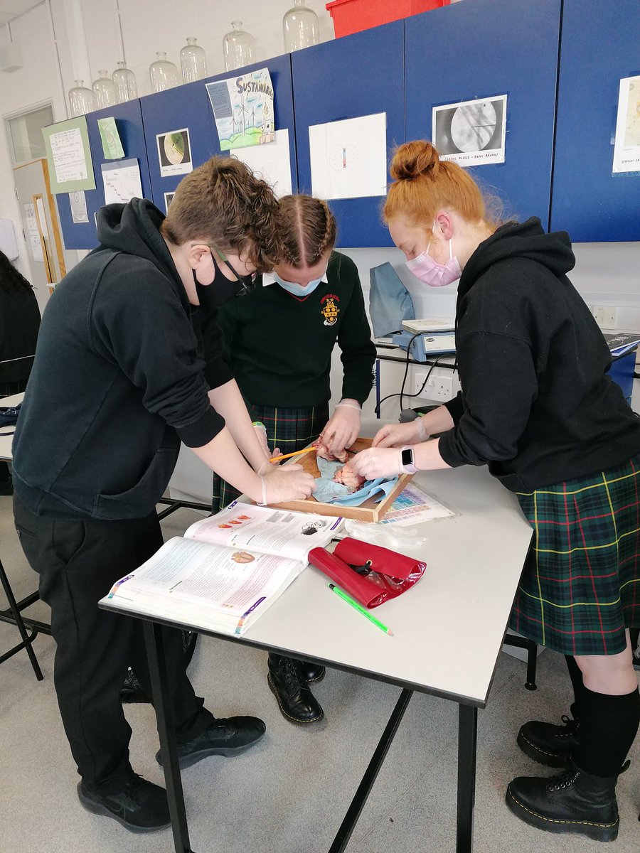 Drogheda Grammar School tweet media