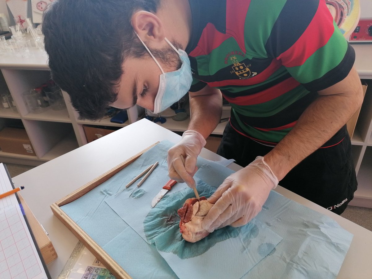 Drogheda Grammar School tweet media