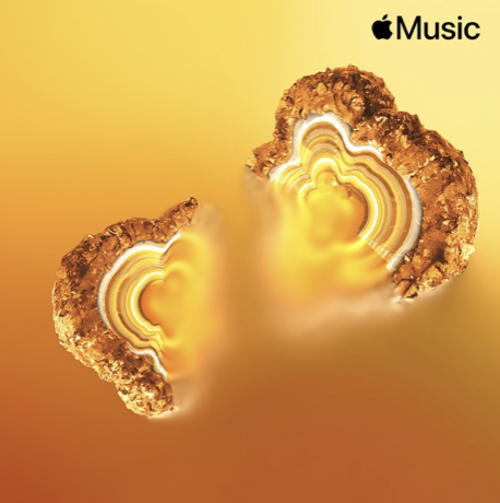 LightOrgan's tweet photo. Listen to @PekoeCatMusic's new release, 'Acid Rain' on @AppleMusic - New Music Daily and New in Indie

https://t.co/YQcw5qPQ02 https://t.co/H0WvrbRVBo