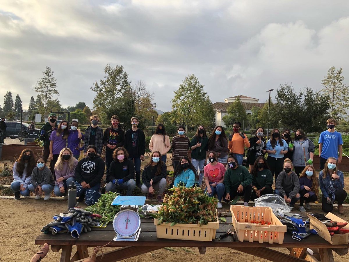 OUHSD Farm to School (@ouhsdfreshfood) on Twitter photo Rancho Campana green club came out this morning to harvest, prep garden beds for fall crops, save seeds and enjoy the weather! #oxnardunion #gardeneducation <a href="/rchs_monarchs/">Rancho Campana</a> Rancho Campana green club came out this morning to harvest, prep garden beds for fall crops, save seeds and enjoy the weather! #oxnardunion #gardeneducation <a href="/rchs_monarchs/">Rancho Campana</a>