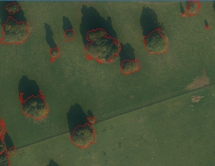 maddiemapsstuff's tweet photo. At the end of @WorldSpaceWeek and as one of the #WomenInSpace I wanted to shamelessly share some of my own work with #satellite and #earthobservation data.  From segmentation and mapping down to an individual tree with @FR_LUES @FR_WoodCreation @Forest_Research and @watts_km... https://t.co/OrUTyi4Fs8
