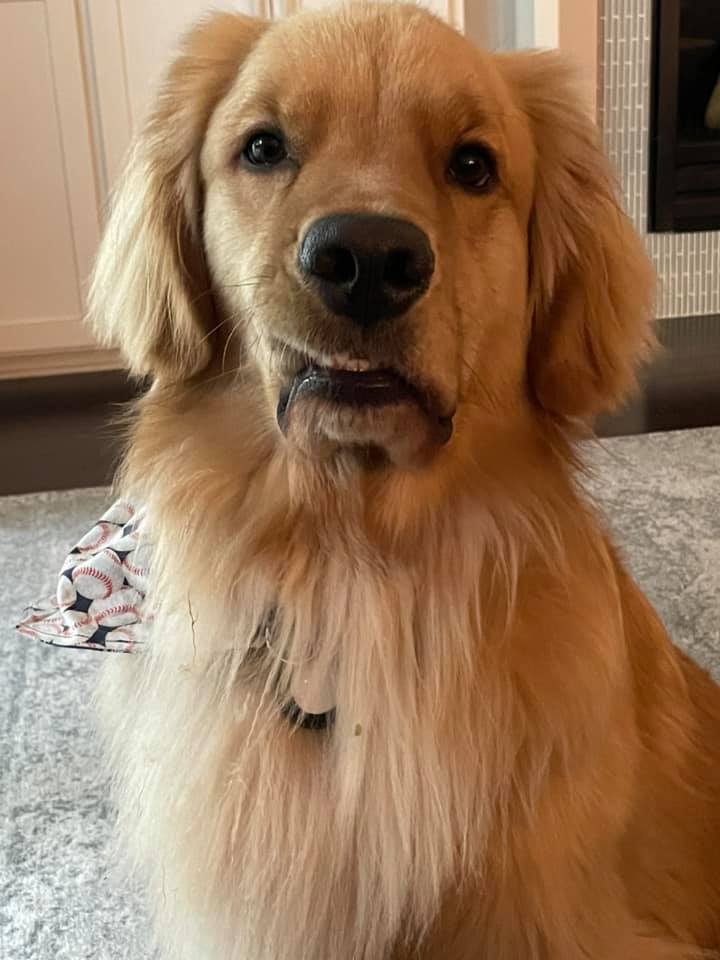 PaulFox13's tweet image. Still no cool weather Brody. Patience buddy. #FloridaFall