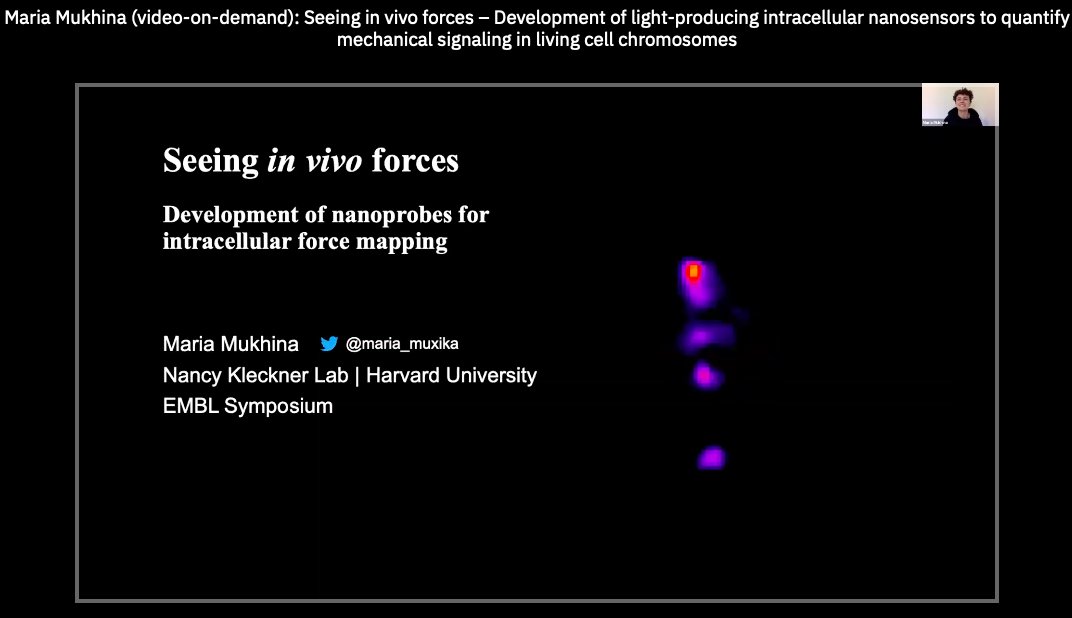 Thanks for the organizers! It was a great pleasure to present for such involved audience!