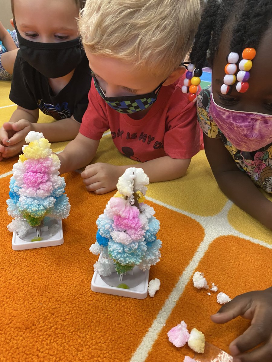 Jennifer Sulloway tweet media