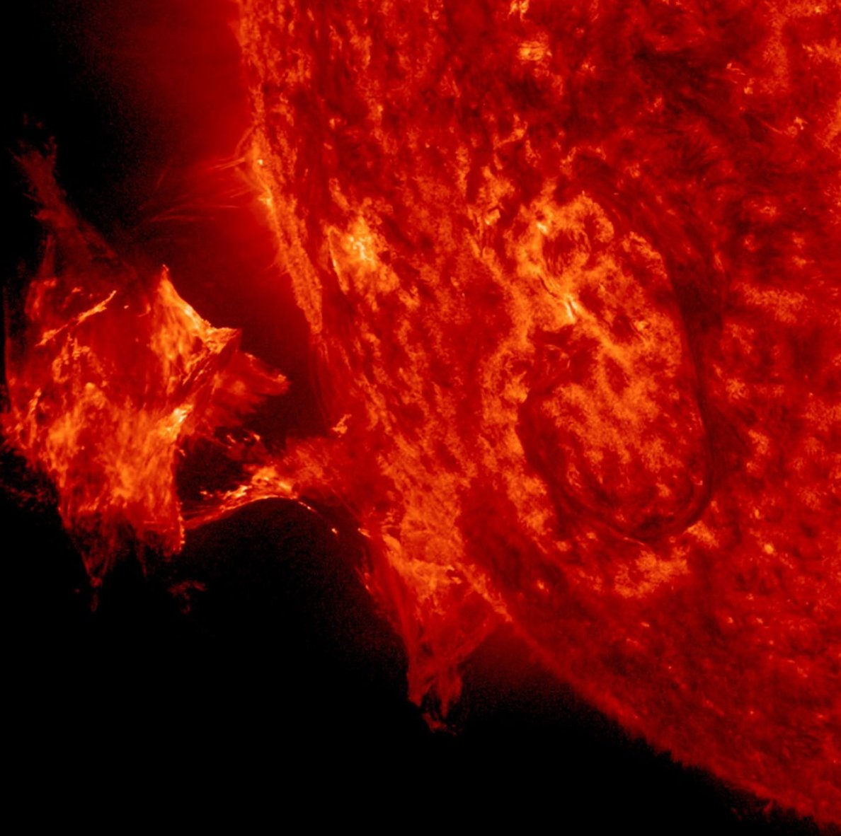 Fun Fridays are back!! 🎉

Why did the Sun never get into college?

Because it already has a million degrees!