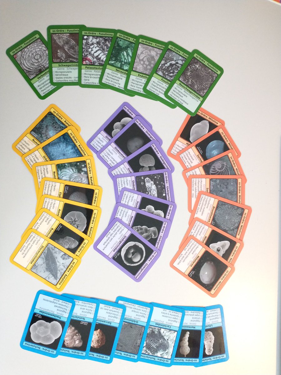 PaleoGeochemist's tweet photo. I just receive the card game I made for BCh students @sciences_UNIGE. I hope this will help them to recognize, identify and learn about foraminifers during the micropaleontology course. #foraminifera , #ForamFriday https://t.co/52rgbYyOs3