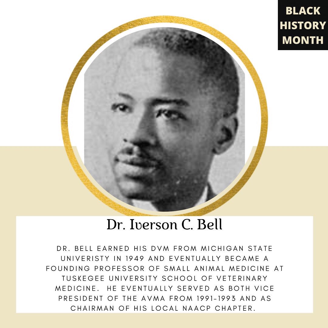 sevarvc's tweet photo. Join us this month in celebrating black history in veterinary medicine 👊🏾

Dr. Augustus Nathaniel Lushington
Dr. Earl H. Rippie, Jr.
Dr. Iverson C. Bell https://t.co/T3YCHXJ4za