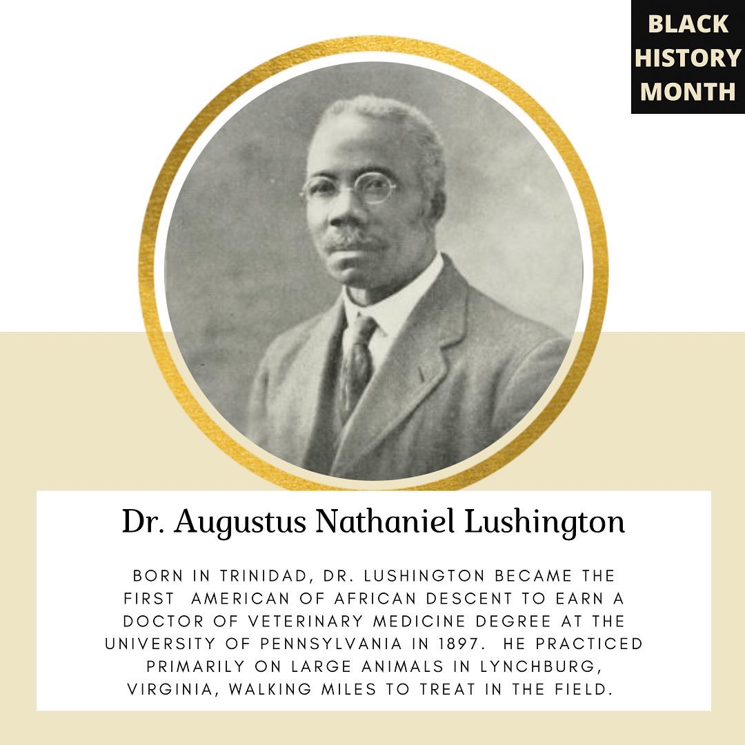 sevarvc's tweet photo. Join us this month in celebrating black history in veterinary medicine 👊🏾

Dr. Augustus Nathaniel Lushington
Dr. Earl H. Rippie, Jr.
Dr. Iverson C. Bell https://t.co/T3YCHXJ4za