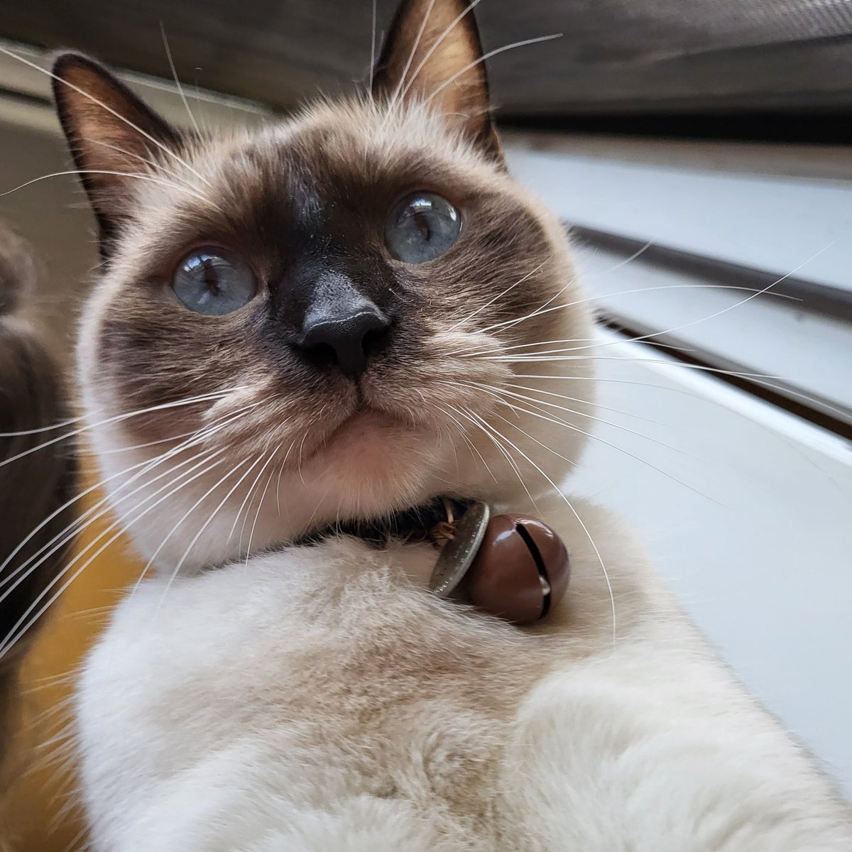 imezracat's tweet photo. https://t.co/EKL05IqV5I