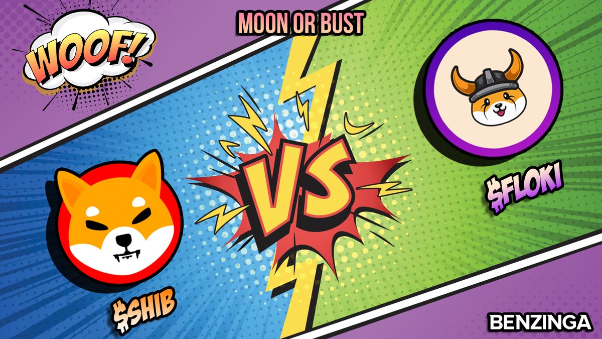 Benzinga's tweet photo. Today on Moon or Bust... Shiba Inu SPECIAL!

$SHIB vs $FLOKI 
👉Price Analysis
👉What is #FLOKI?
👉ShibaSwap 
👉+ Crypto news $BTC $ETH #NFTs 

LIVE at 2pm et! Hop in the chat!
LINK: https://t.co/BxBHtrlBgk https://t.co/mCoLGNBGx7
