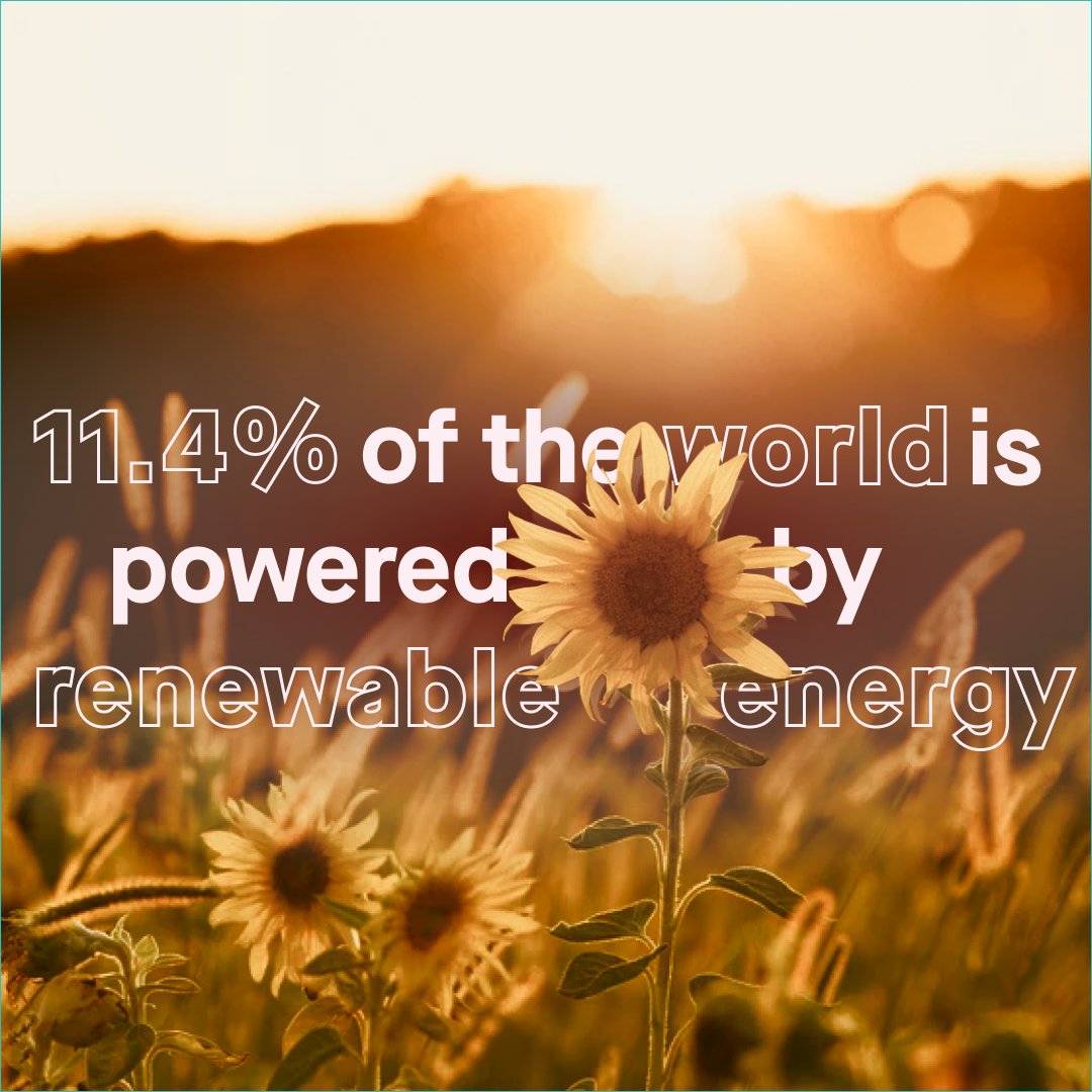 Green Wallet - Eco Shopping App tweet media