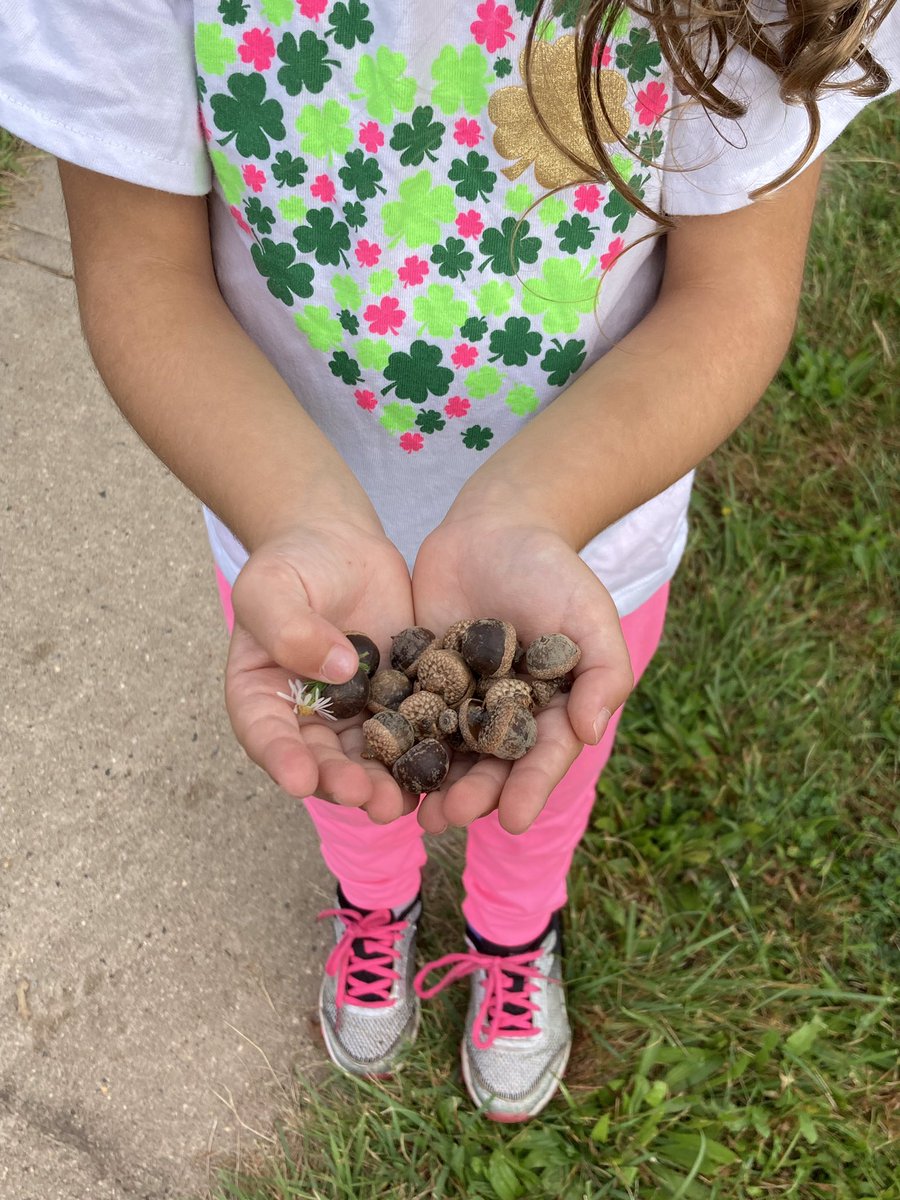 Tracey MacRitchie tweet media