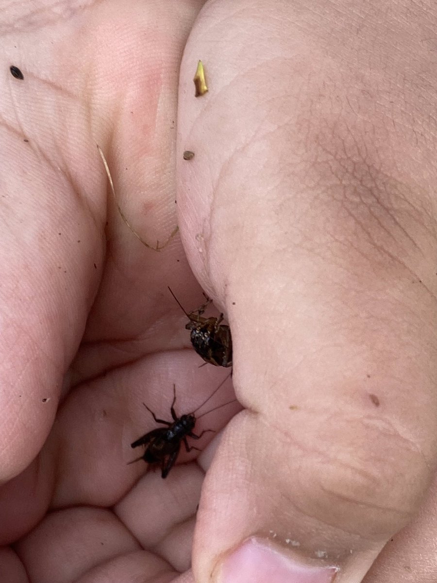 Today we were scientists and we found some interesting things outside.