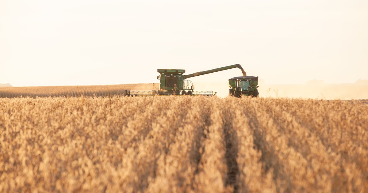 IL Farm Families tweet media