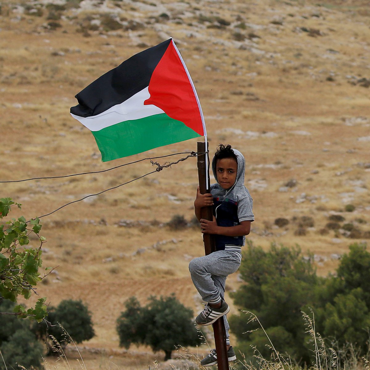 ajplus's tweet photo. Facebook and Instagram suppress posts about Israeli rights abuses against Palestinians, reports @HRW — deleting hundreds in 2021 on forced displacement and deadly airstrikes in occupied Gaza.

Instagram falsely tagged posts as hate speech but apologized, calling it a "glitch." https://t.co/8yjGGSPpGr