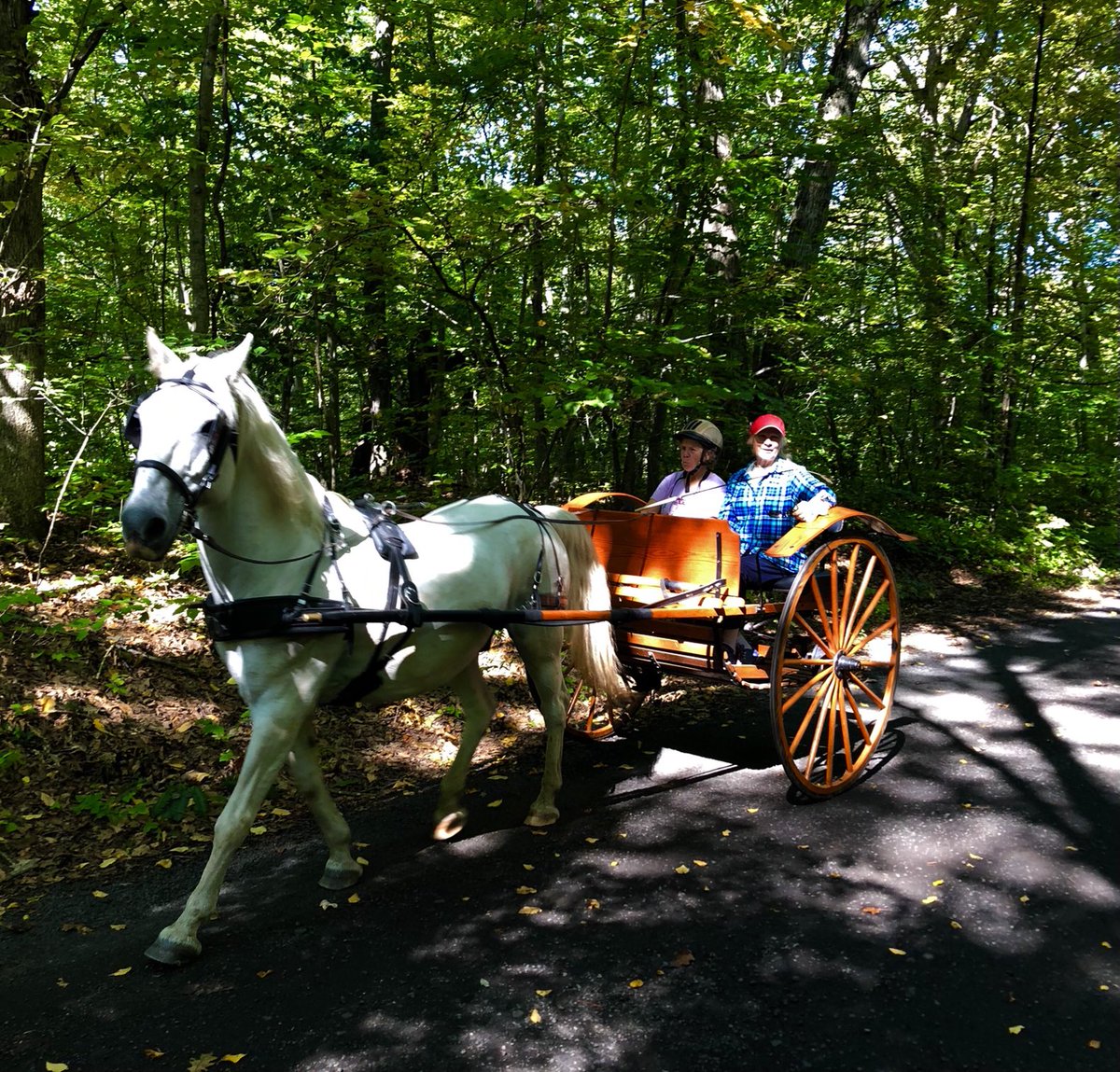 petermarteka's tweet image. Well, that’s something you don’t usually see while out hiking…#firsttimeforeverything