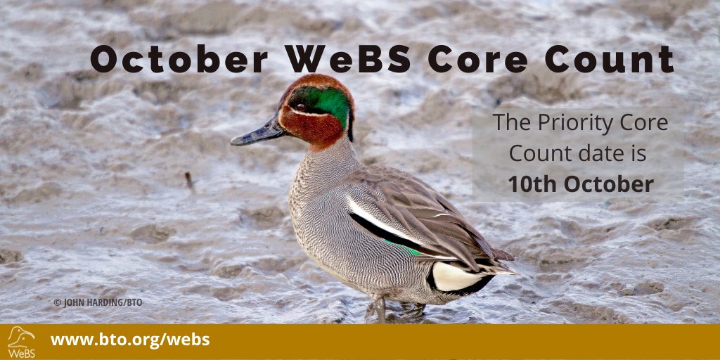 This Sunday, 10th, is the October Core Count Date! Get out and enjoy your WeBS sites!