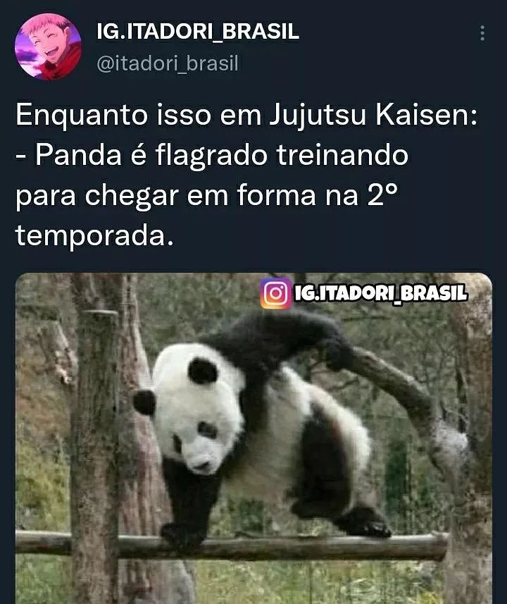 animeunitedBR's tweet photo. https://t.co/gnfsyjDrDL
