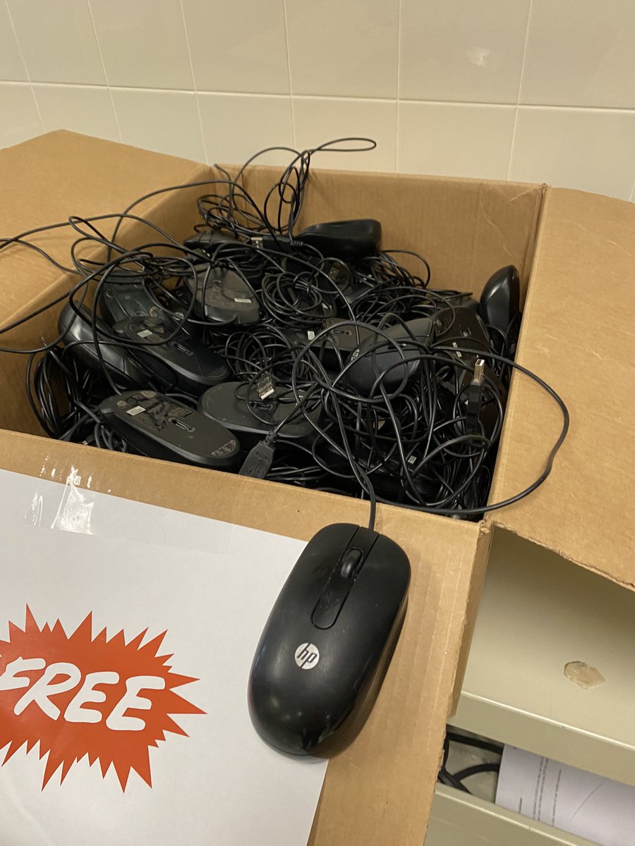Bronte Deuce tweet media