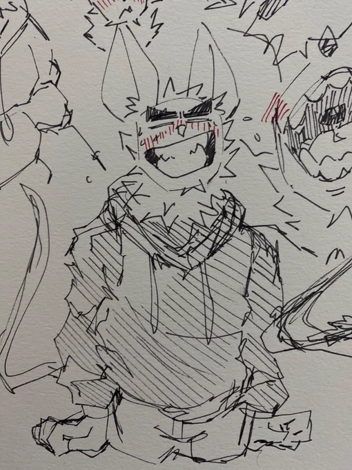blushy possum 