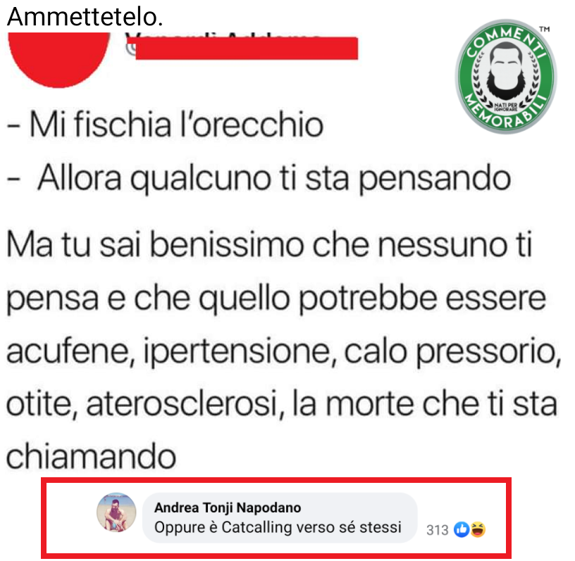 CM_Memorabili's tweet photo. Regole non scritte. #commentimemorabili #ammettetelo #fischio #orecchio #diagnosi https://t.co/ZGzz0Y0mAC