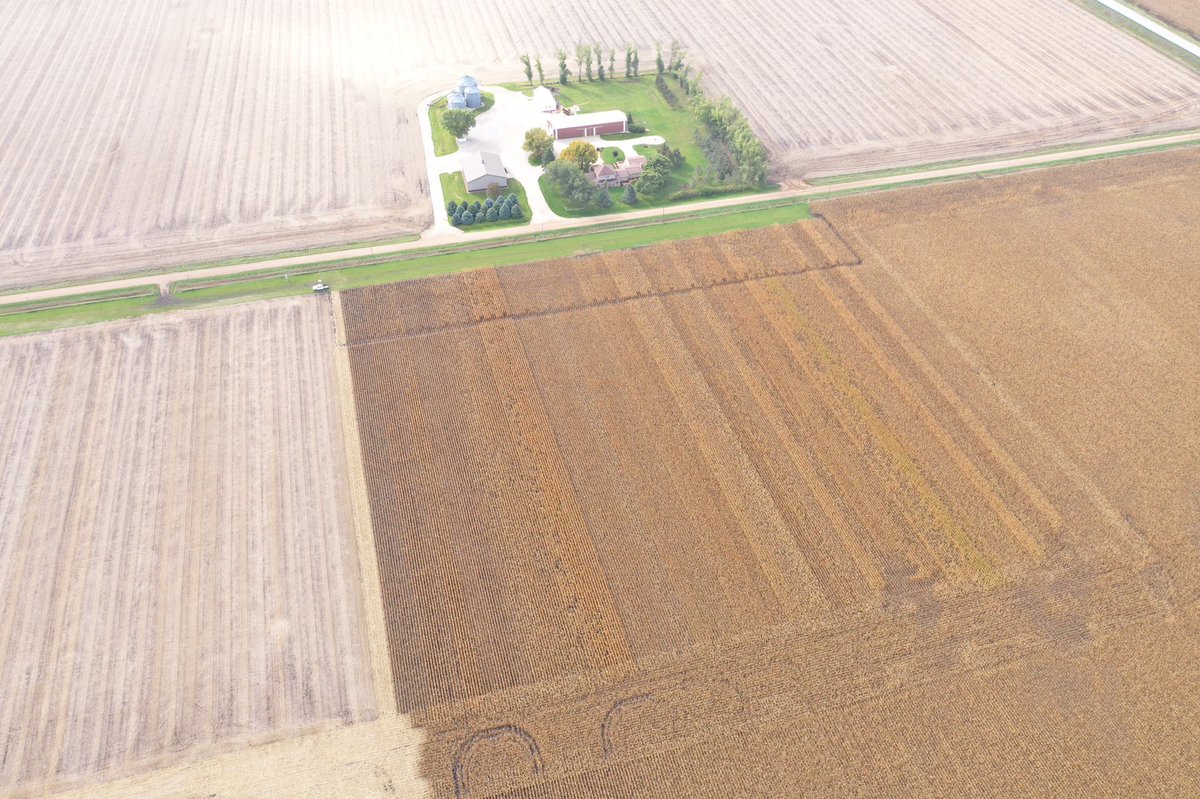 MHommez's tweet photo. #AlgonaLearningCenterPlot corn harvest slated for Tuesday! @DKAS_Iowa @CroplanI @StineSeed @NEWCooperative π½ https://t.co/5y5feNj9ni