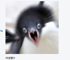 bw_dote's tweet photo. 아 뭔가 아쉬운데 살짝 https://t.co/3qXn9pcUqh