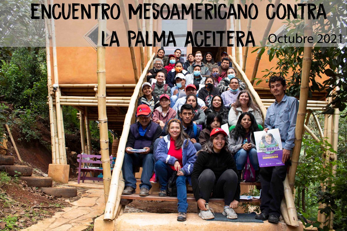 📣Declaración de la Red Mesoamericana Frente a la Palma Aceitera🌴
Durante los días 3 al 6 de Octubre 2021 nos encontramos diversas organizaciones, redes, miembros y colectivos en el Encuentro Mesoamericano contra la Palma Aceitera ✊
📌Lee aquí bit.ly/2ZXHe4X