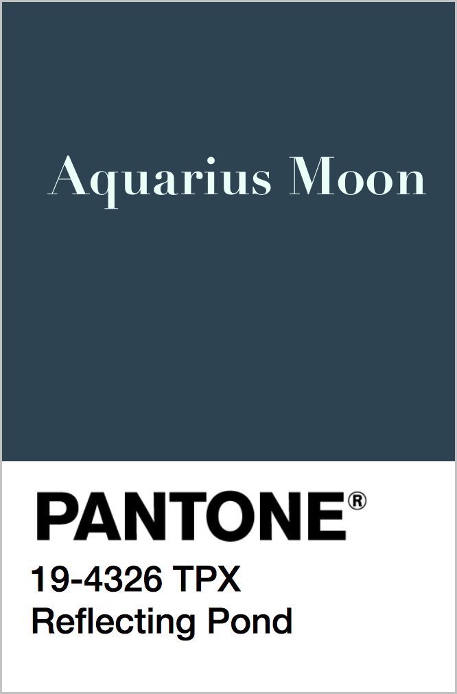 magstrology's tweet photo. Make a Halloween colour palette based on your astrological placements 🍂🍁🕷🕸🦇👻💀😈🎃 https://t.co/D5x6v3G8vw