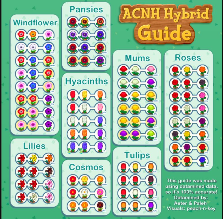 ItsPeachBeach's tweet photo. Found some helpful flower guides!
#ACNH #AnimalCrossing #Nintendo #AnimalCrossingNewHorizons https://t.co/gWS6nqUoAp