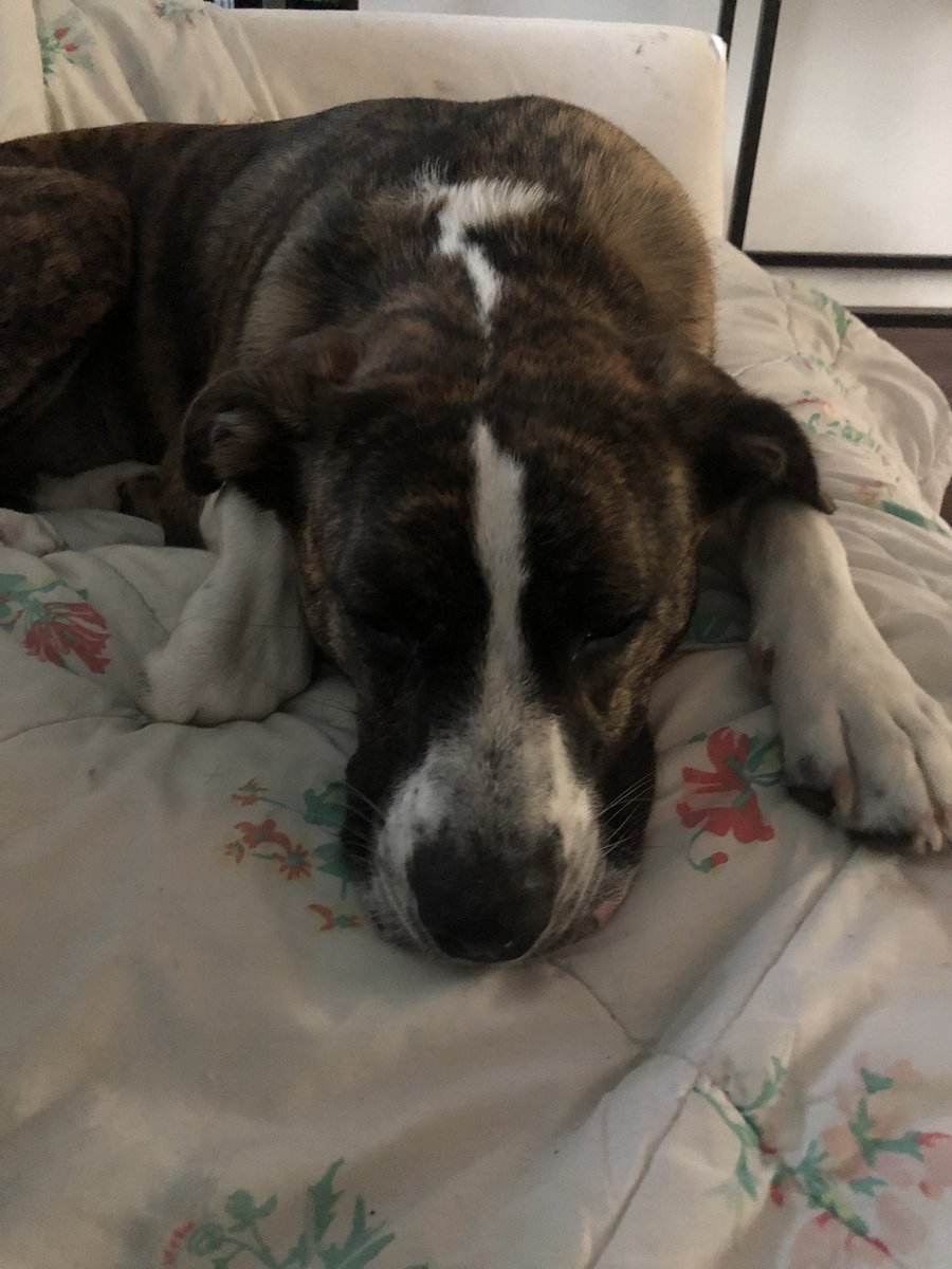 Farmington United Field Hockey tweet media