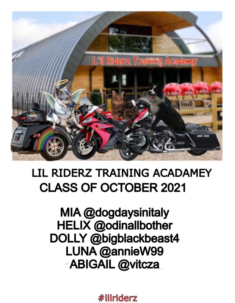 riderz training wheels