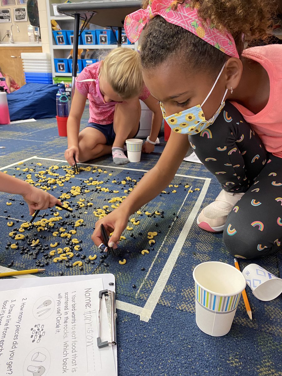 LThomasLSR7's tweet photo. A huge thank you to @lsedfoundation for providing science kits to our elementary classes! Today we used some of the materials to explore types of animal beaks and how they are used for different purposes. We are thankful for your generosity! #lsef #lsr7 #gwebulldogs https://t.co/kAlHyJCGAG