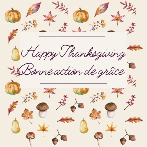 ICcmtgc's tweet photo. Joyeuse Action de grâce ! Profitez de cette longue fin de semaine avec vos proches. Prenez le temps de réfléchir à la CCMTGC actuelle. Pensez à/aux organisation(s) auxquelles vous aimeriez faire un don afin de faire une différence positive. #IRCCDonne @hdfcode @FraserValentin4 https://t.co/claqPggzQG