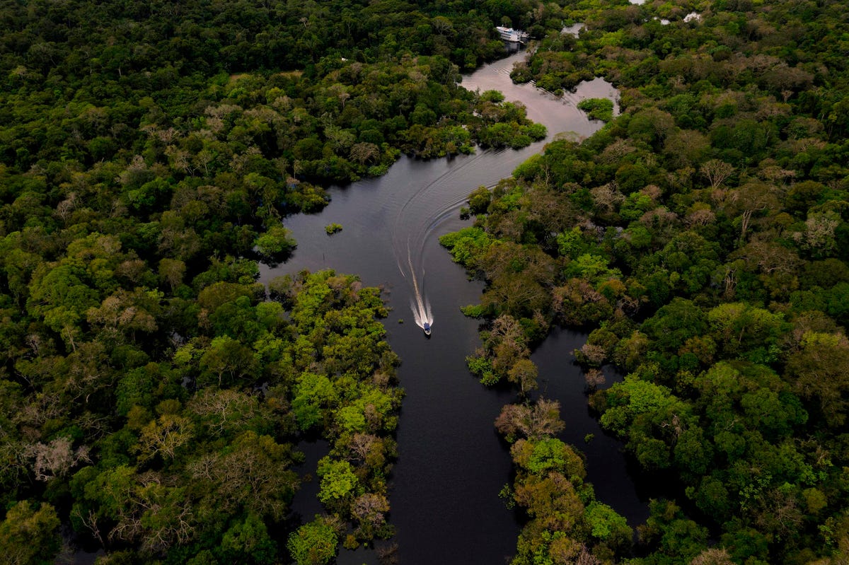 socialgearapp's tweet photo. https://t.co/3awcxguyQU Facebook Cracks Down On People Selling ... Plots Of Land In The Amazon Rainforest https://t.co/5svWcZ4rDv #marketing #business https://t.co/U2se8S2Bgr