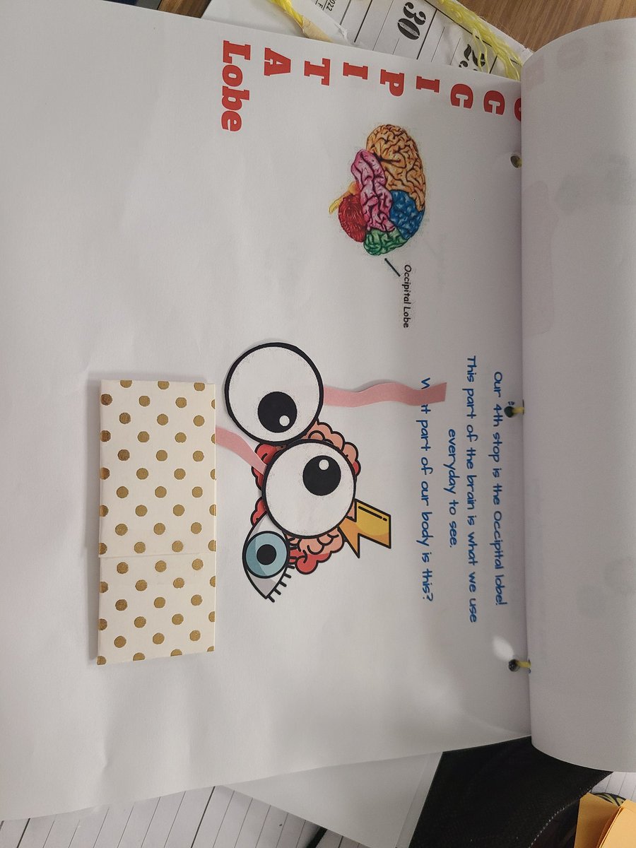 Mrs. Paturzo - Psychology tweet media