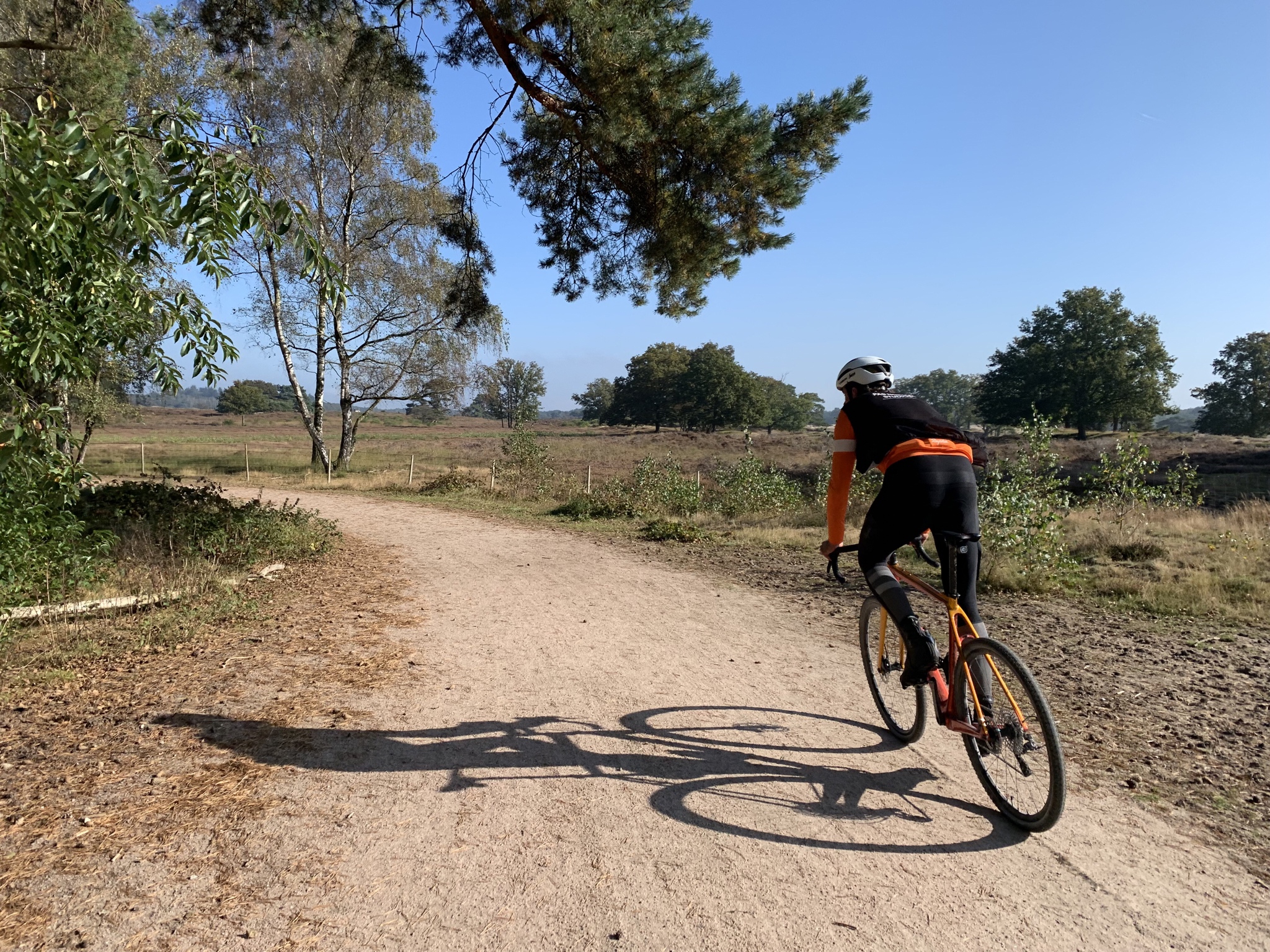 Martijn Hendriks on Twitter: \