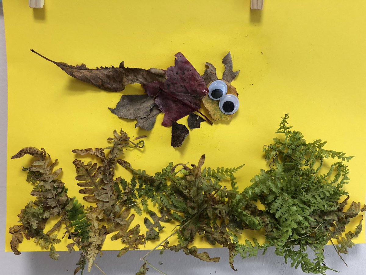 Hampton Elementary tweet media