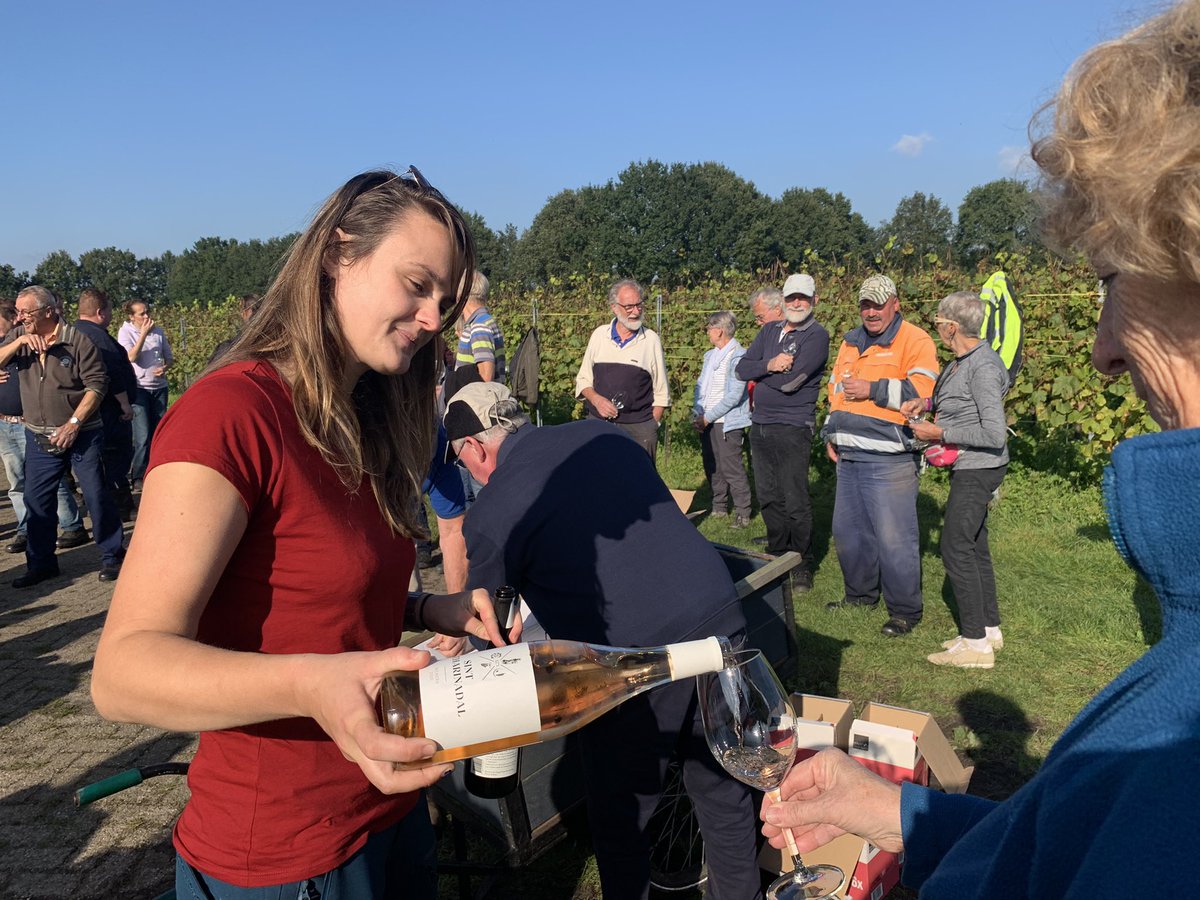 SchillemansMZ's tweet photo. De druiven zijn er af
Het einde of een nieuw begin?
Natuurlijk heven we het glas samen met de Priorin van Catharinadal in Oosterhout met Pinot Noir en Gamay druiven uit 2020
#MidZuid
#Wijn #druiven #catharinadal #Oosterhout #wijngaard #PinotNoir #Gamay #chardonnay https://t.co/fRg1YvjMjQ