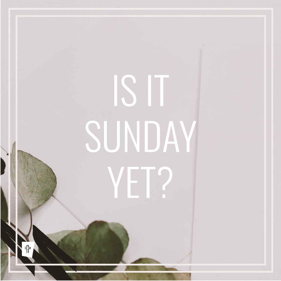 StAAllianceCh's tweet photo. We can't wait to see your beautiful faces and chat with you on Sunday, join us in-person or online!
Service Times:
In-Person @ 9 & 11AM (Registration required)
Online @ 11AM (Pre-Service Show @ 10:45AM)
https://t.co/V6fn1nKhyT & YouTube
#church #churchonline #staac #staactv https://t.co/8JEzq5kXQB