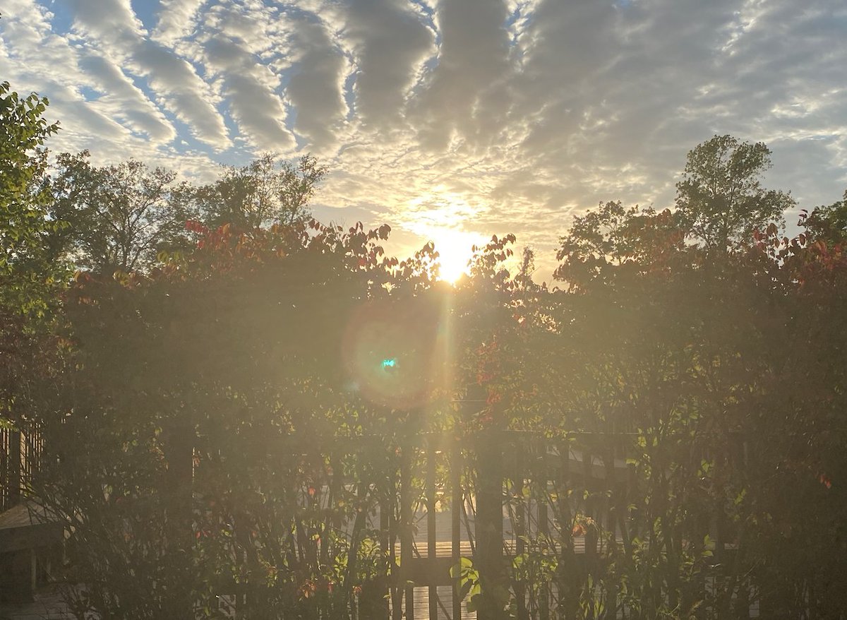 BAvaian's tweet photo. I hope that everyone has had a great week. Despite the rain, I got a few good hikes and a few good rides in. Here 2 of my favorite photos from this week.  Enjoy. :)

#CMN3980 #PantherPR#sunshine https://t.co/GoW8hVUMQb