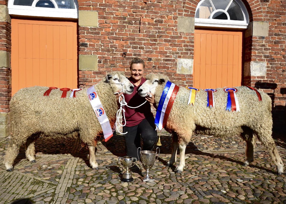 We got our ‘Rare Breed Survival Trust Approved Farm Park’ sign up today so we thought we’d celebrate with our two champions. 

How proud do Erik and Ernie look?
We still can’t believe it!

#GoNative #RareBreed #FarmPark #Champion