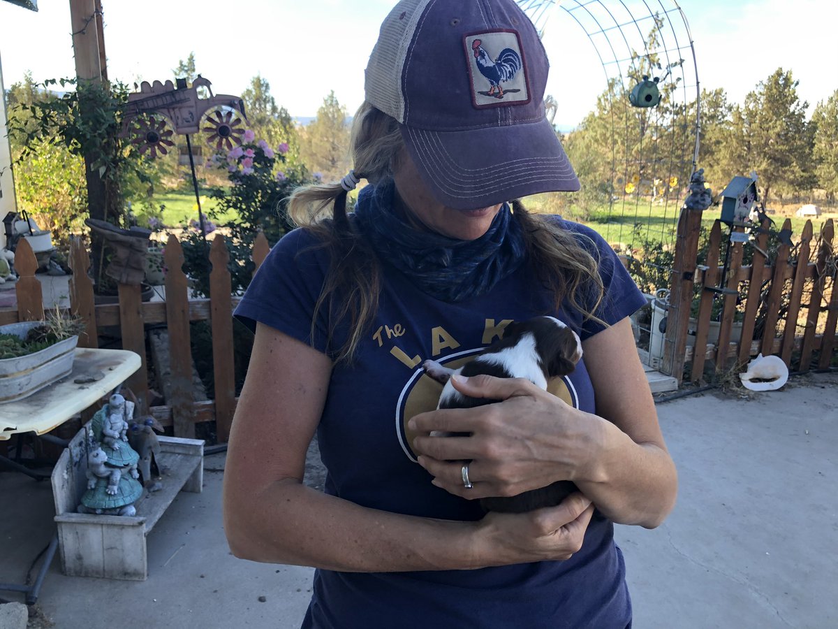 Beau Kilmer tweet media