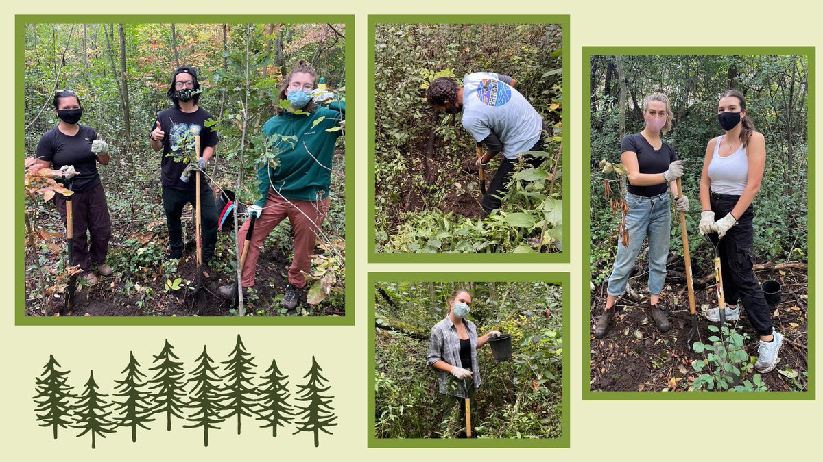 Thank you to our volunteers and <a href="/SERUWaterloo/">Society for Ecological Restoration - UWaterloo</a>! Together, we planted +120 native trees and shrubs in the Urban Forest! It was great to see everyone come out to help plant and make a positive impact on campus🌳 🌱