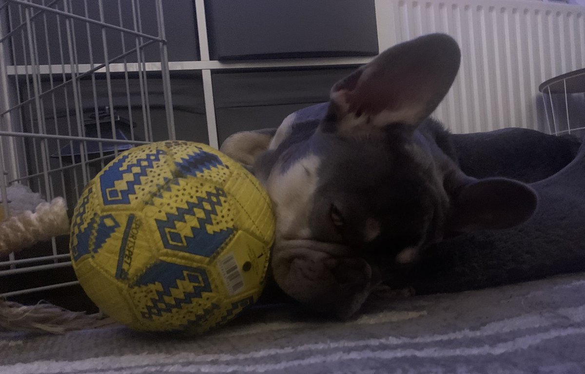 gingergoon's tweet photo. No Arsenal for 2 weekends….
#interlull https://t.co/HpGPHLGpNO