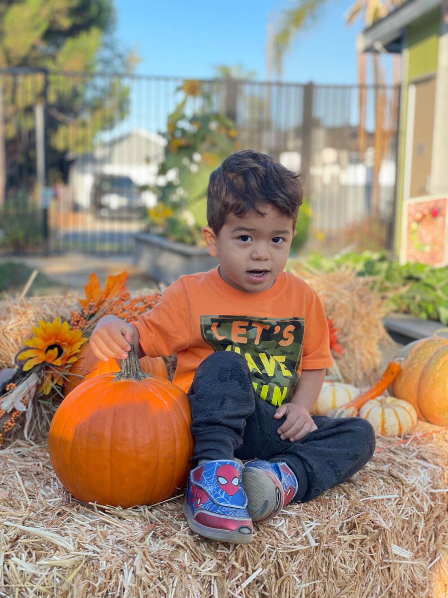 EducareLALB's tweet photo. Plant Smiles 😊...Grow Giggles 😃 ...Harvest Love ❤️

That’s what we do in Classroom 4107 🥰 Ms. Cathy, Ms. Jessica and Ms. Manuela teach the cutest pumpkins 🎃 in the patch. Thank you ladies for all that you do each day to support our children and their families ❤️ https://t.co/jrMeJhiQyh