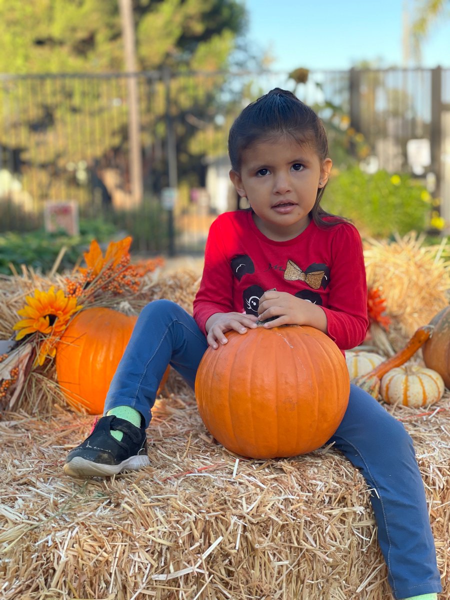 EducareLALB's tweet photo. Plant Smiles 😊...Grow Giggles 😃 ...Harvest Love ❤️

That’s what we do in Classroom 4107 🥰 Ms. Cathy, Ms. Jessica and Ms. Manuela teach the cutest pumpkins 🎃 in the patch. Thank you ladies for all that you do each day to support our children and their families ❤️ https://t.co/jrMeJhiQyh