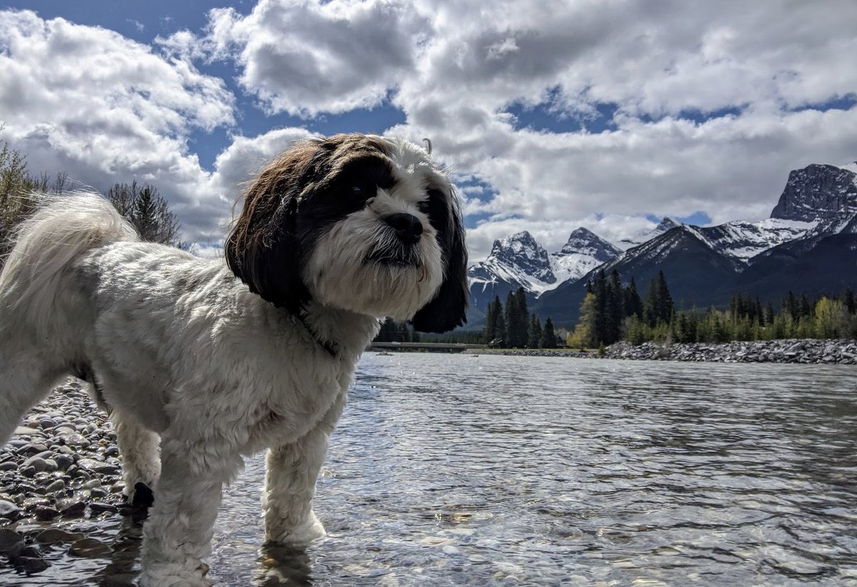 Rowan Cockett 🦋 tweet media